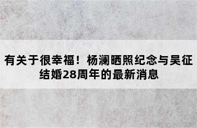 有关于很幸福！杨澜晒照纪念与吴征结婚28周年的最新消息