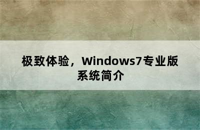 极致体验，Windows7专业版系统简介