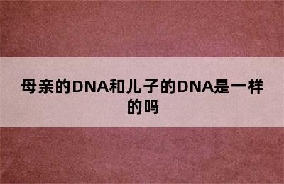 母亲的DNA和儿子的DNA是一样的吗