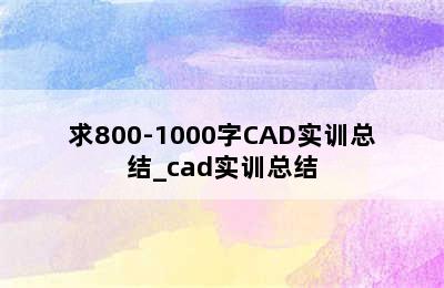 求800-1000字CAD实训总结_cad实训总结