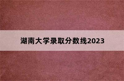 湖南大学录取分数线2023