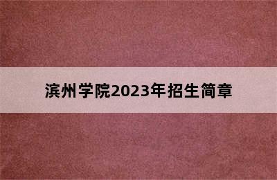 滨州学院2023年招生简章