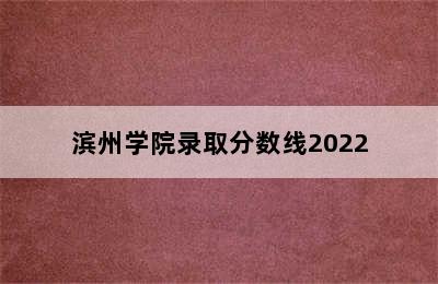 滨州学院录取分数线2022