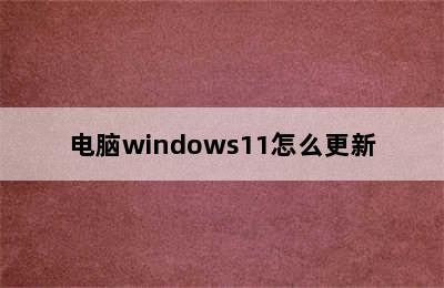 电脑windows11怎么更新