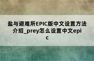 盐与避难所EPIC版中文设置方法介绍_prey怎么设置中文epic