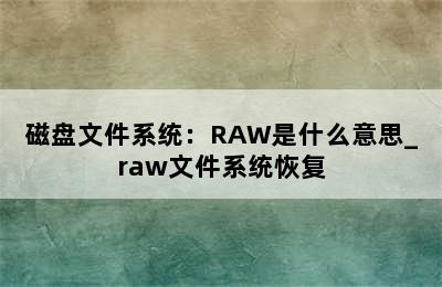 磁盘文件系统：RAW是什么意思_raw文件系统恢复