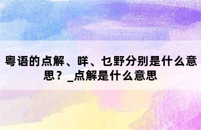 粤语的点解、咩、乜野分别是什么意思？_点解是什么意思