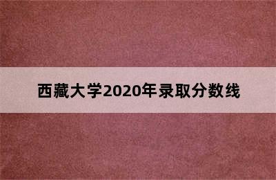 西藏大学2020年录取分数线