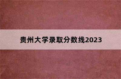 贵州大学录取分数线2023