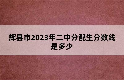 辉县市2023年二中分配生分数线是多少