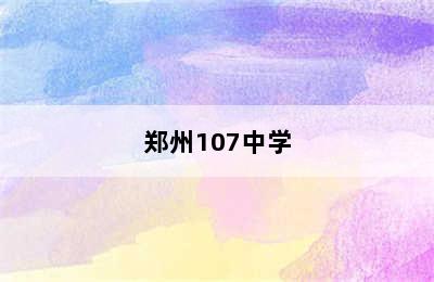 郑州107中学