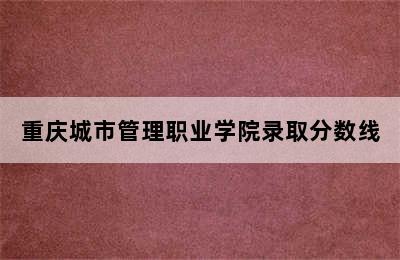 重庆城市管理职业学院录取分数线