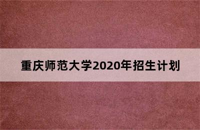 重庆师范大学2020年招生计划