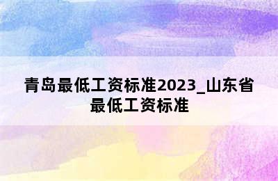 青岛最低工资标准2023_山东省最低工资标准