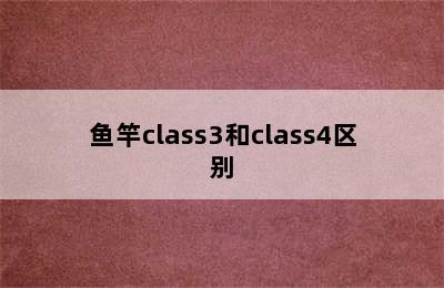 鱼竿class3和class4区别